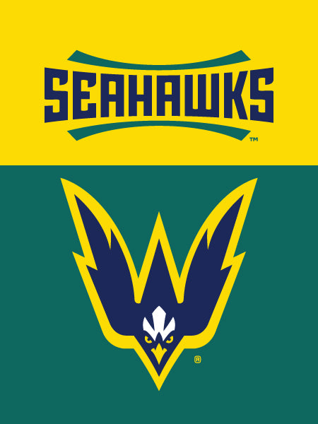 UNCW - Banner Flag