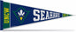UNCW Soft Felt Carded Pennant