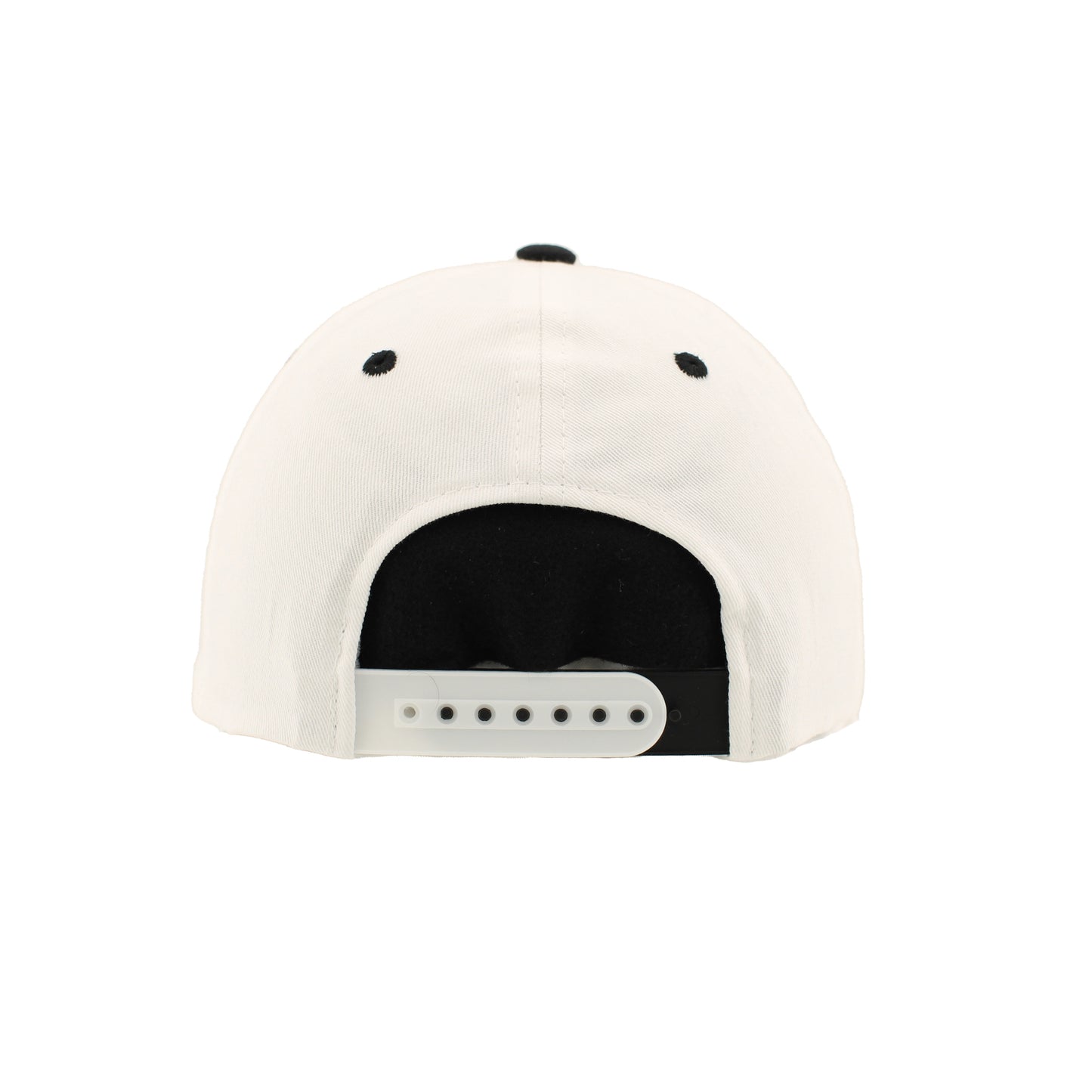 Appalachian Zephyr Citadel Snapback Hat