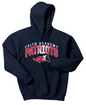 FACS Patriots Hoody - Style 1 (Adult)