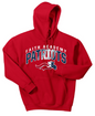 FACS Patriots Hoody - Style 1 (Adult)