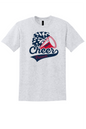 FACS Cheerleading T-Shirt (Youth & Adult)
